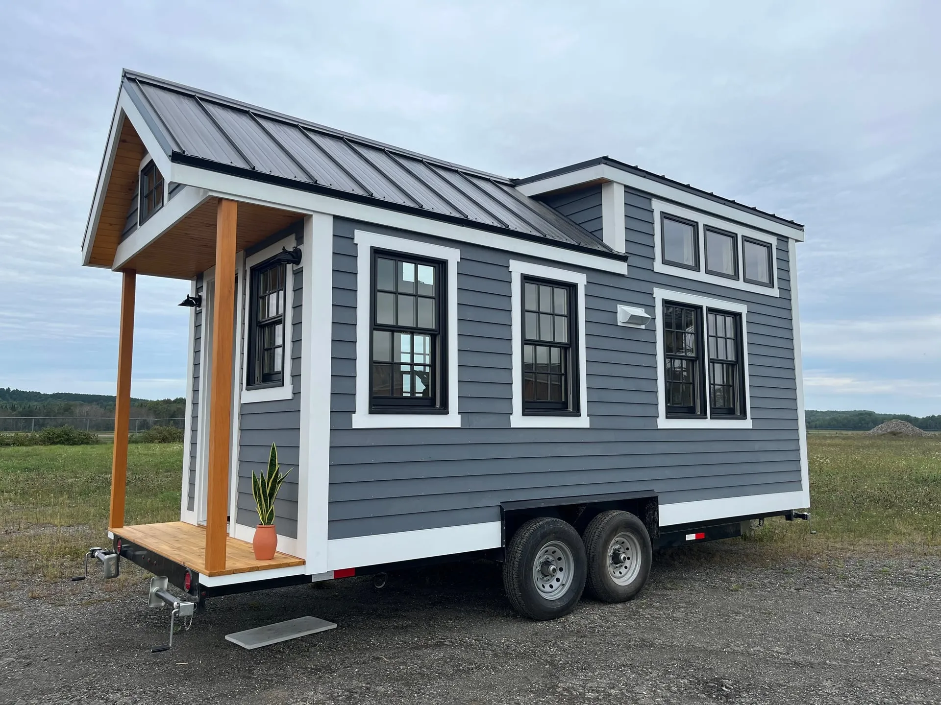 Chickadee — photo 2